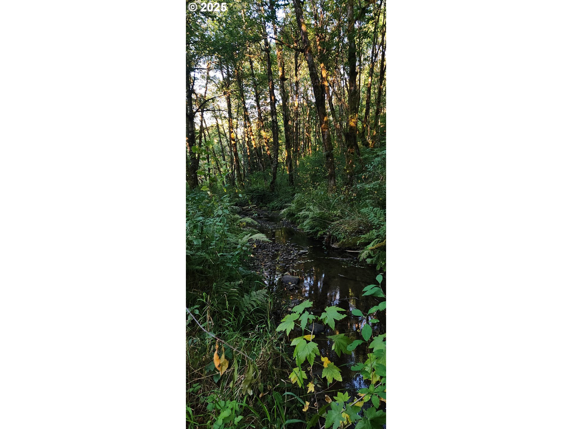Photo 1 of 9 — 31917 BROOKS RD, Yankton, OR 97051