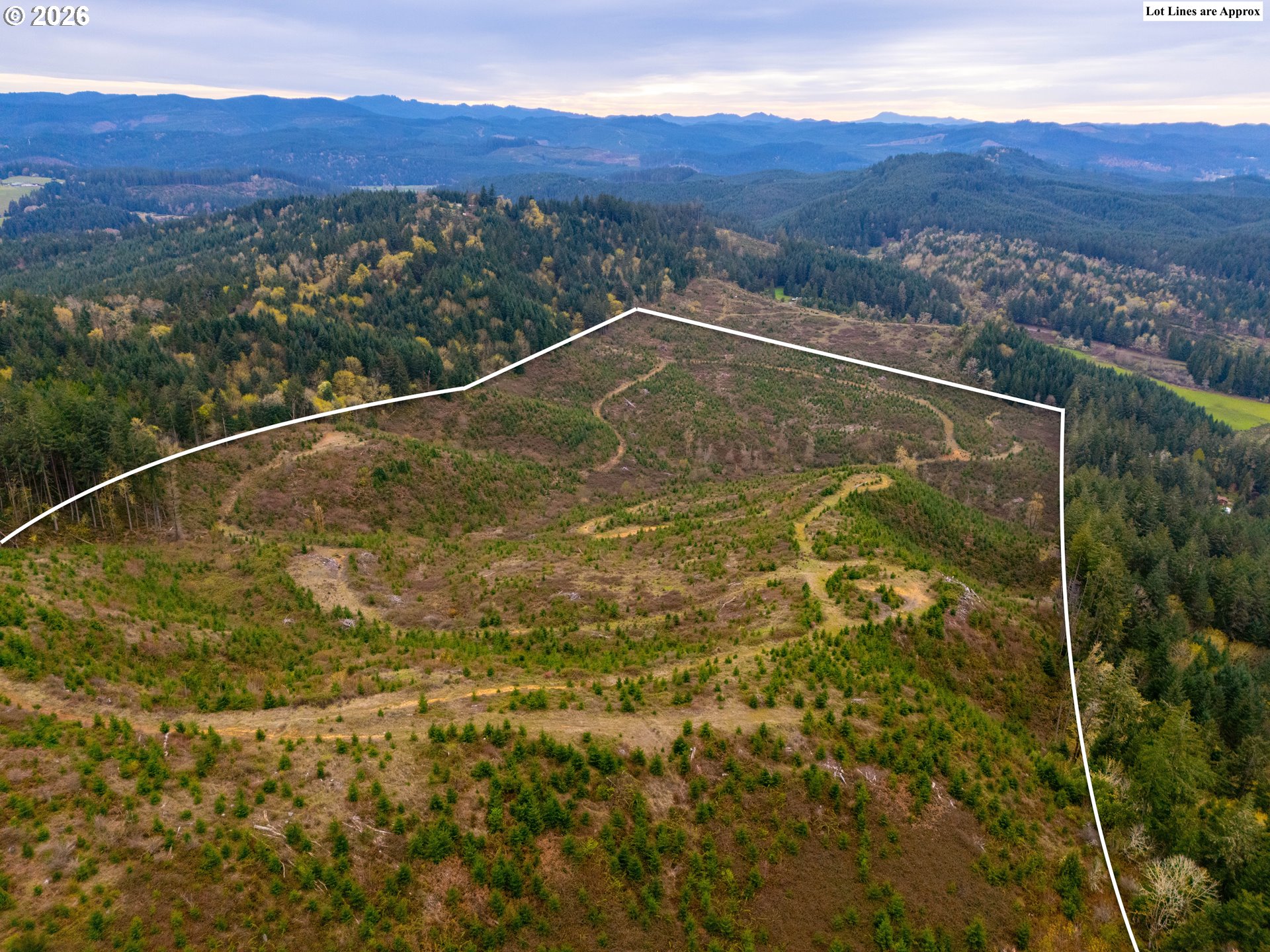 00 Erickson (TL300) RD 300