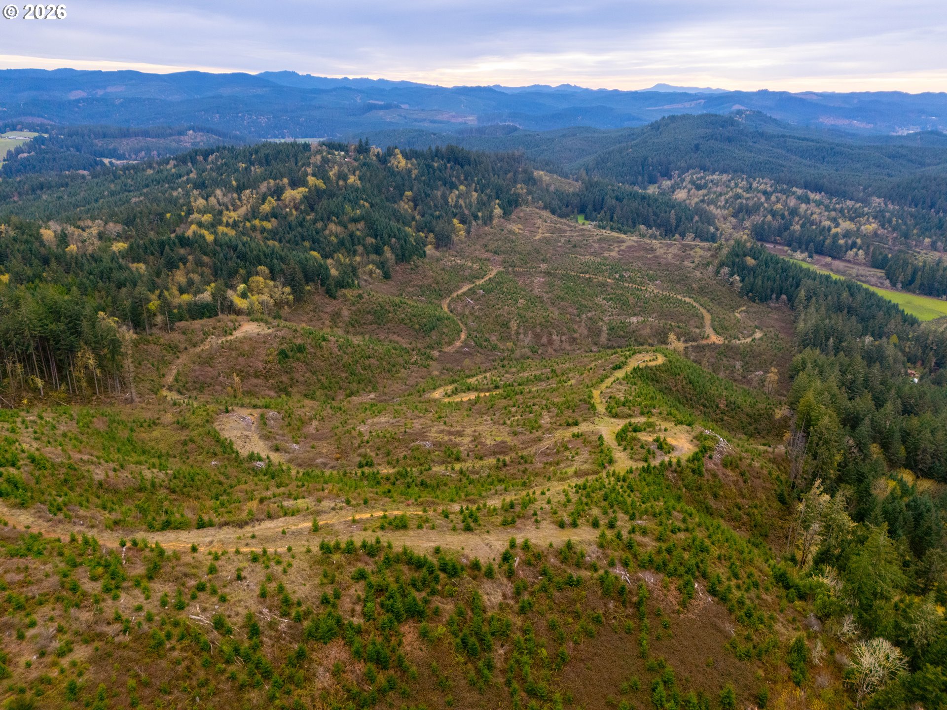 00 Erickson (TL300) RD 300