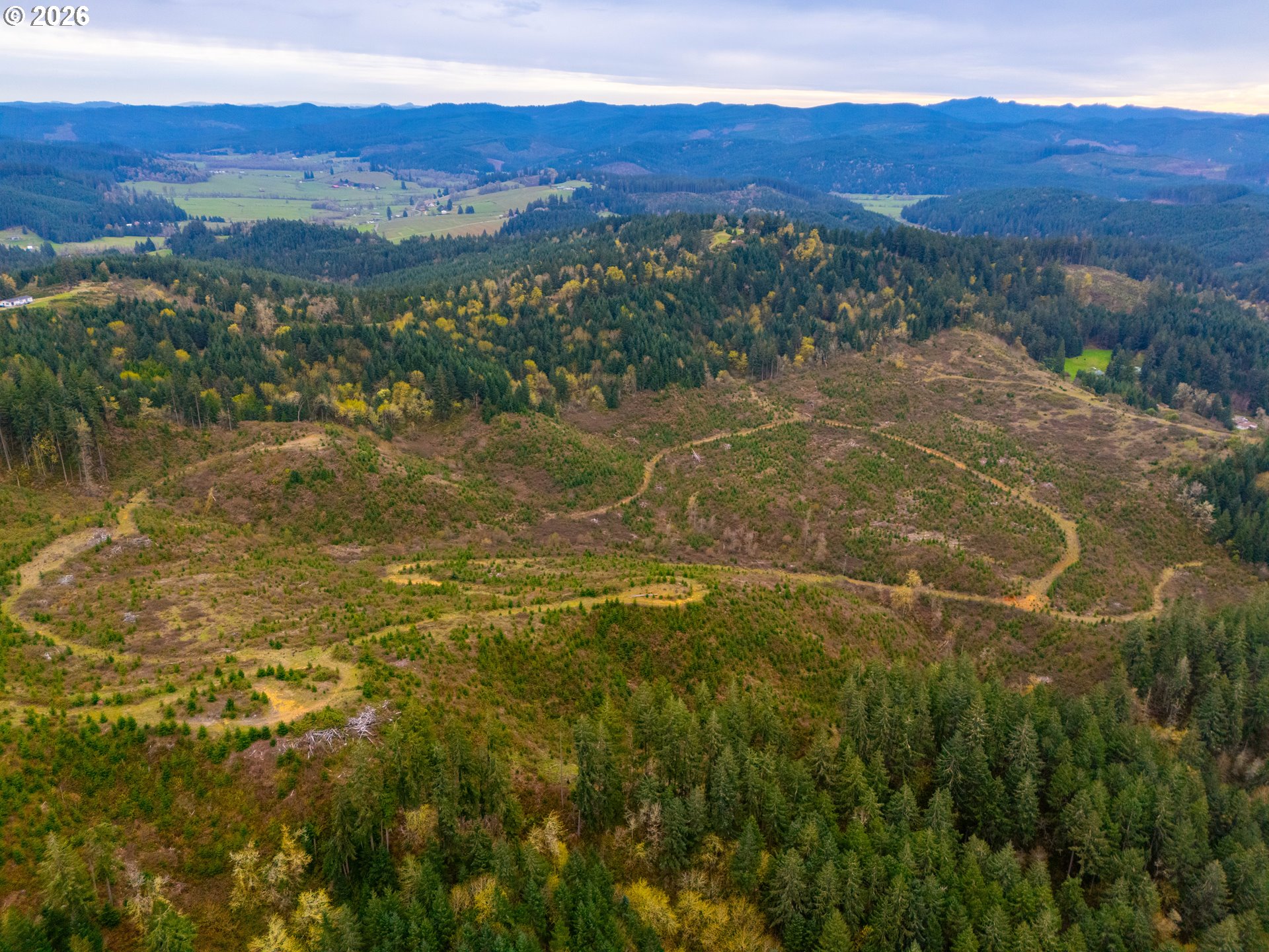 00 Erickson (TL300) RD 300