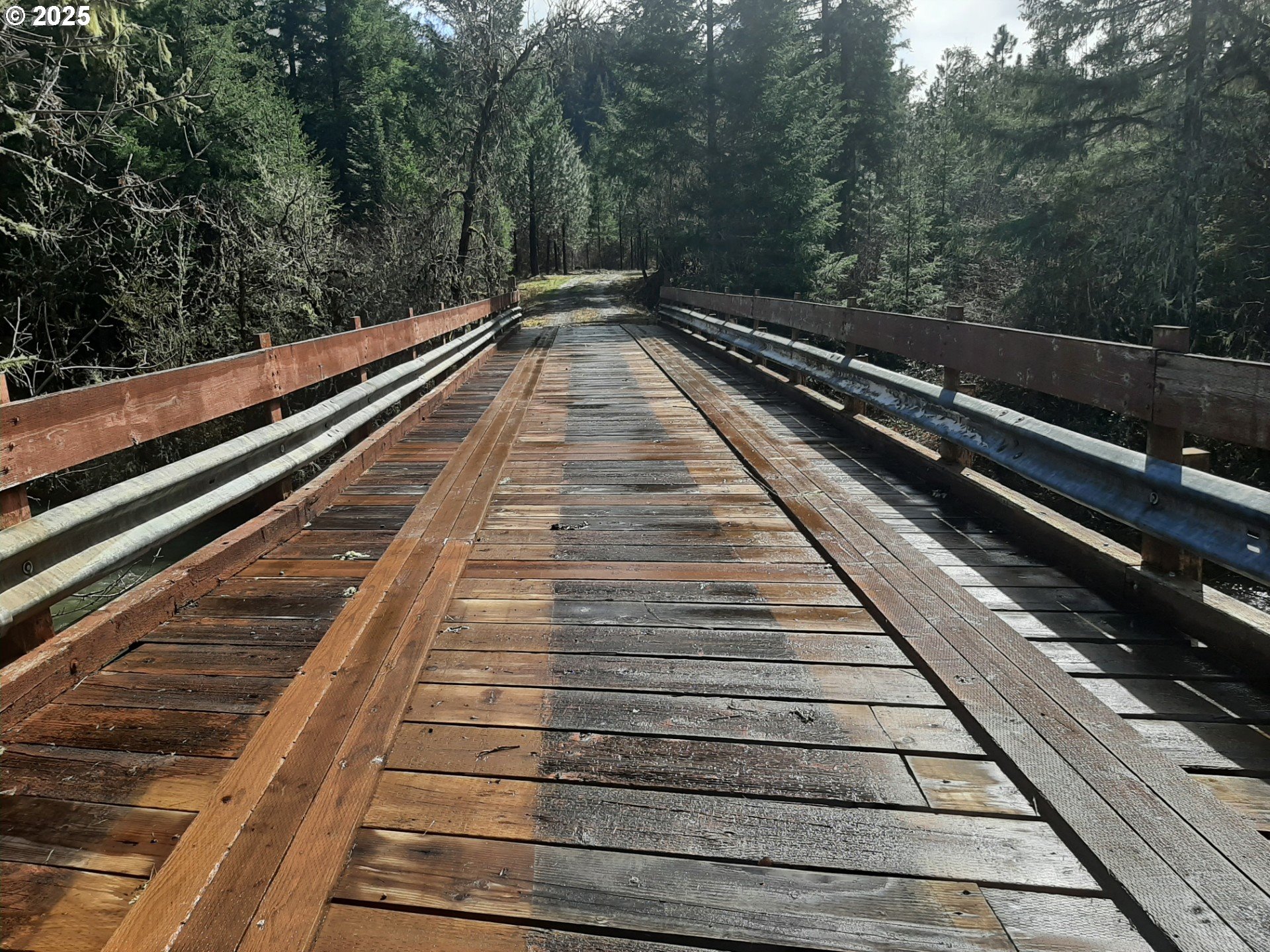 Dorena, Oregon 97434, United States, ,Land,Active,23648