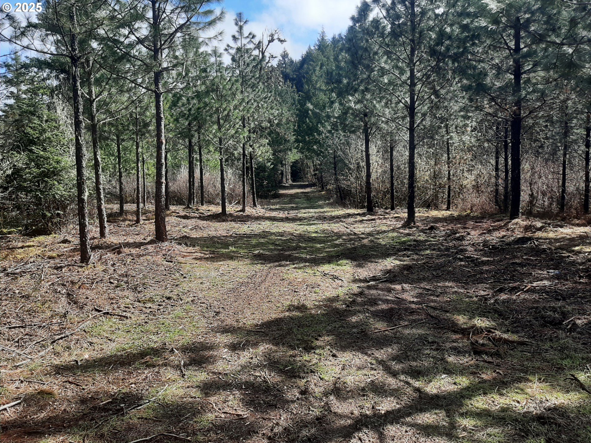 Dorena, Oregon 97434, United States, ,Land,Active,23648