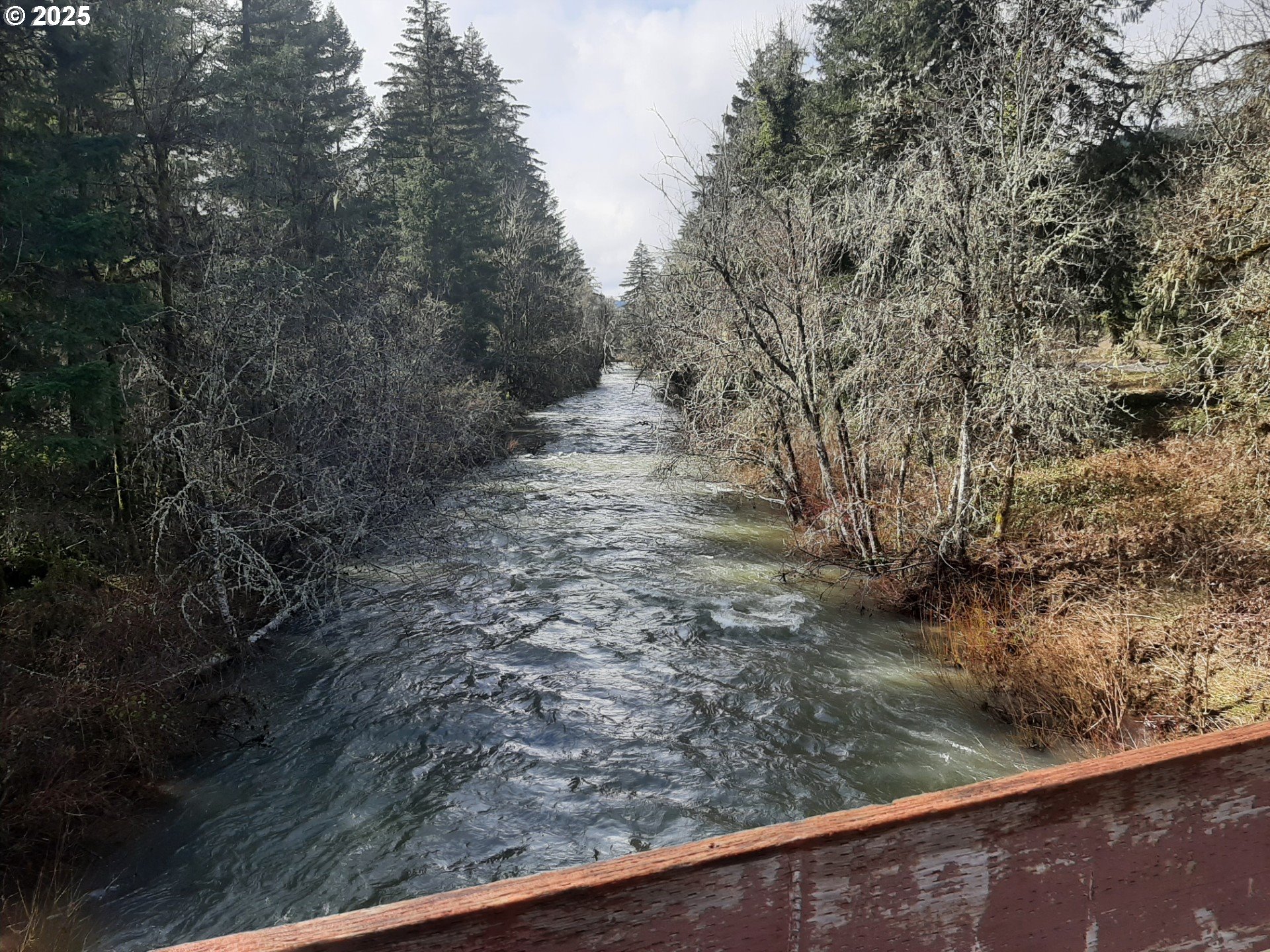 Dorena, Oregon 97434, United States, ,Land,Active,23648