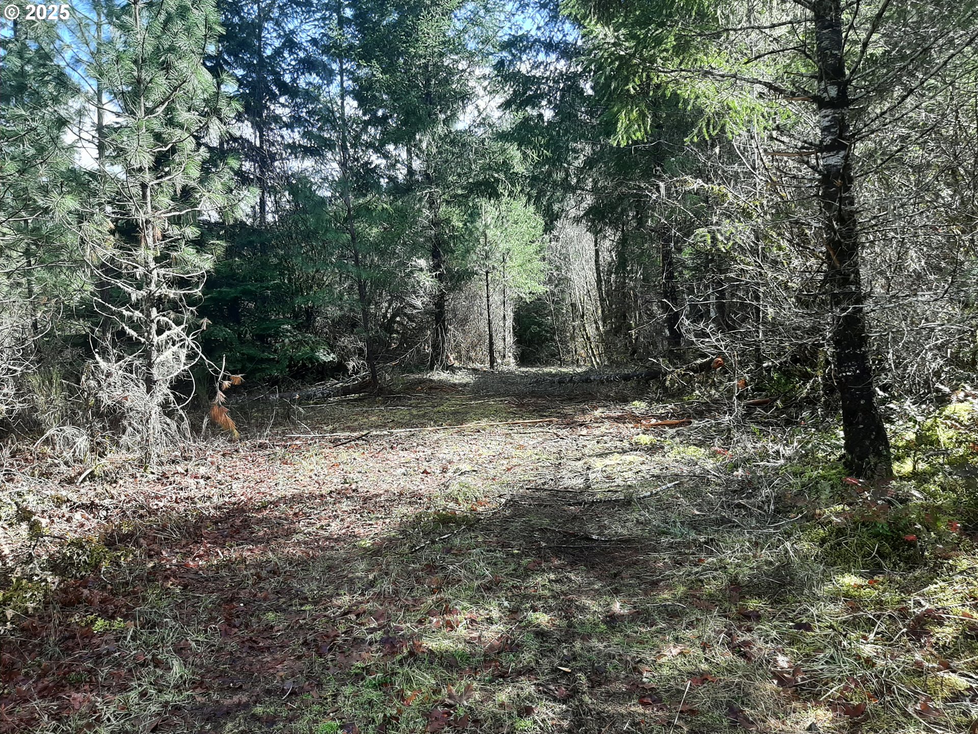 Dorena, Oregon 97434, United States, ,Land,Active,23648