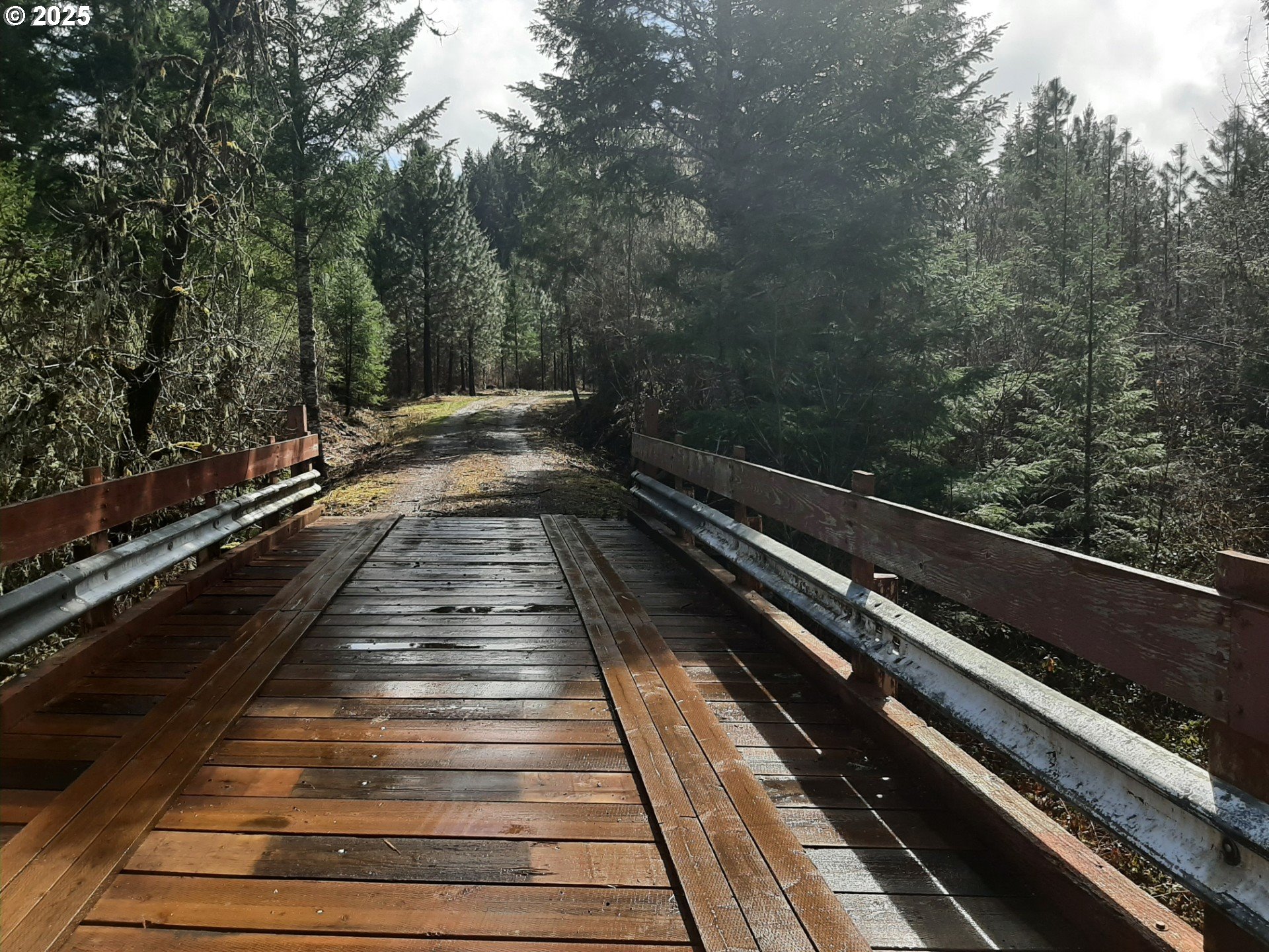 Dorena, Oregon 97434, United States, ,Land,Active,23648