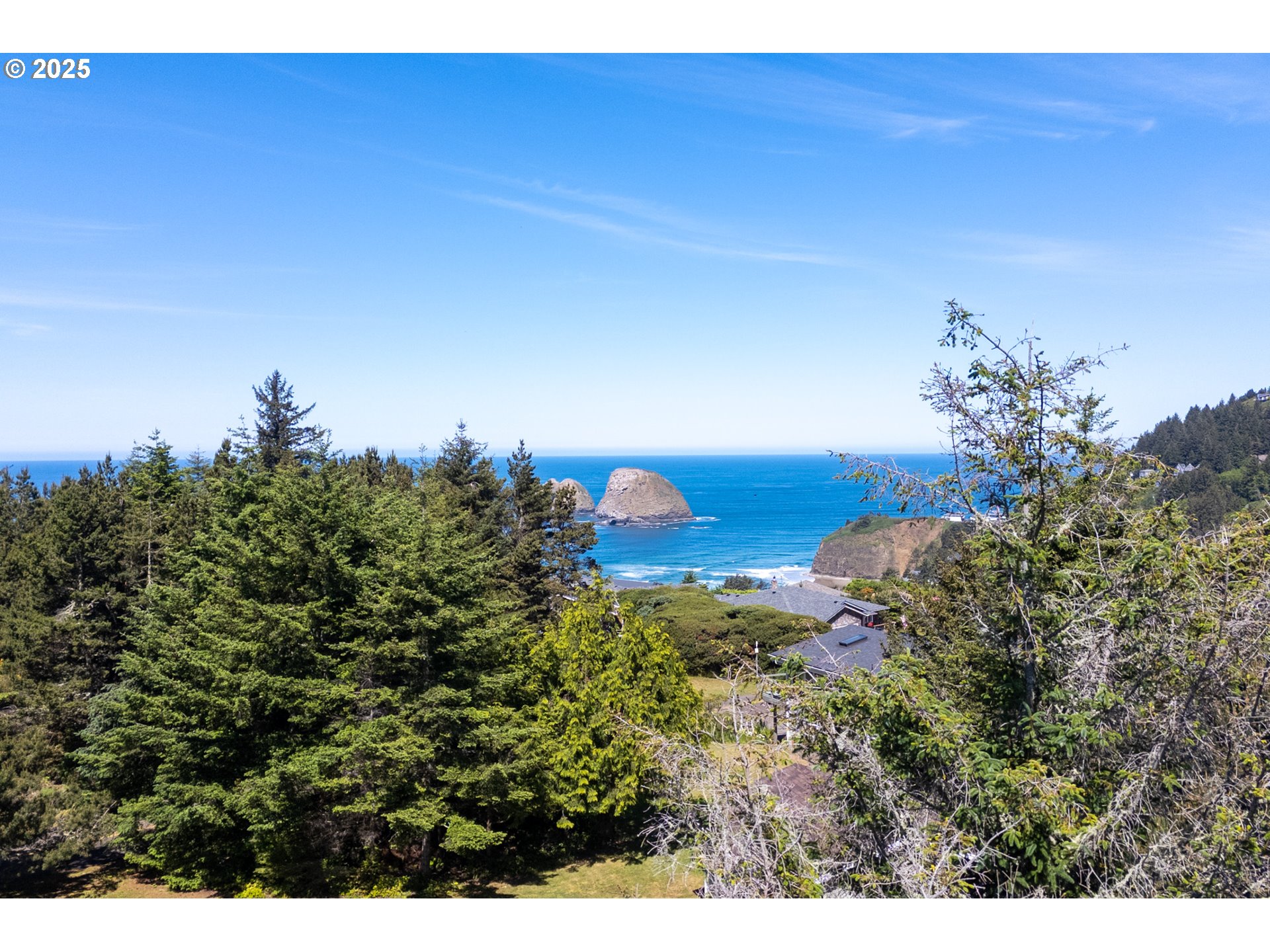 Oceanside, Oregon 97134, United States, ,Land,Active,140976