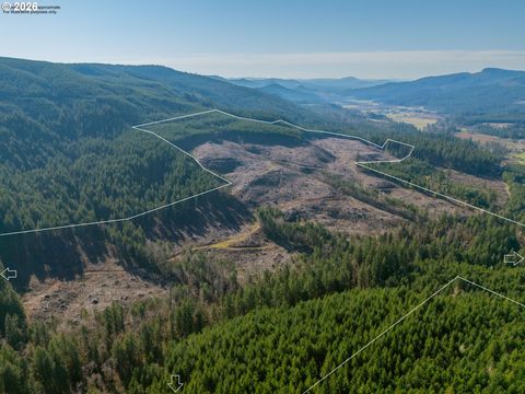 Camp Creek RD Springfield OR 97478