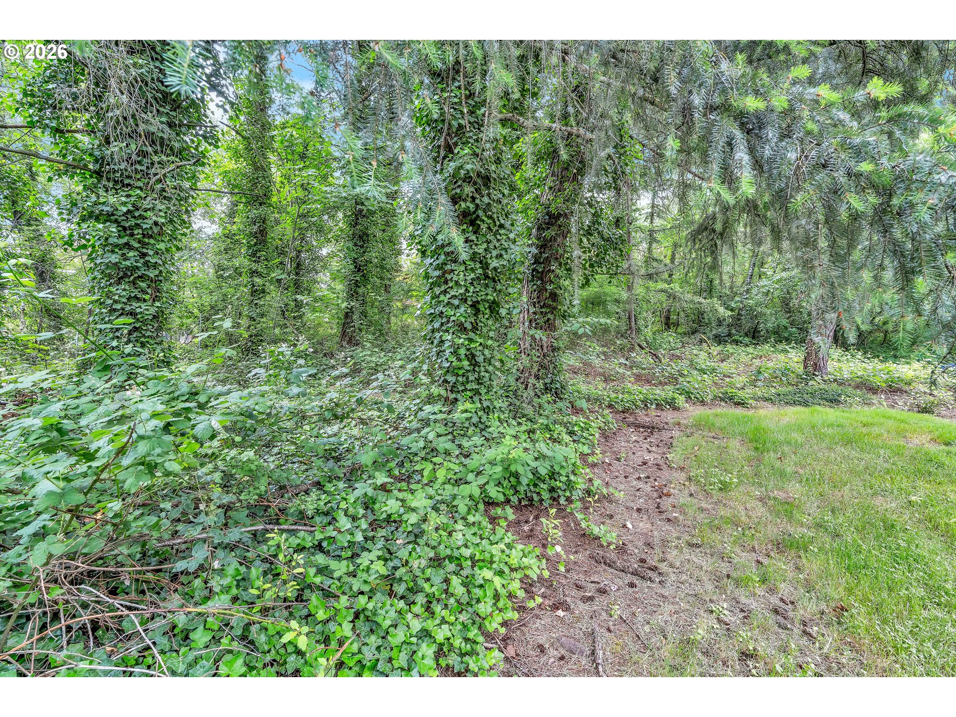 0 SE Tenino CT