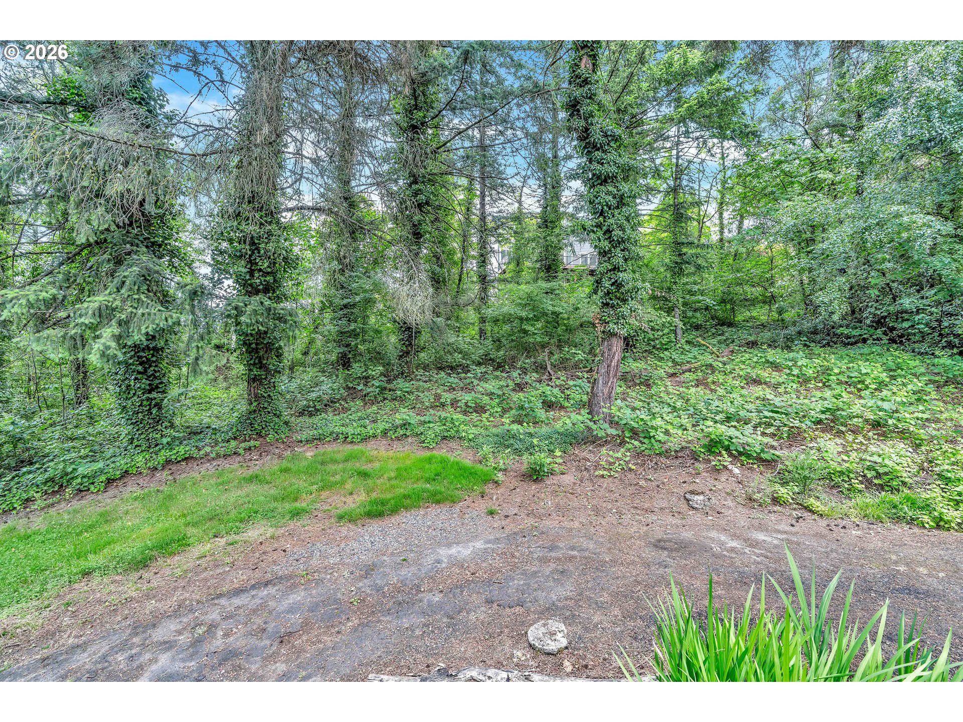 0 SE Tenino CT
