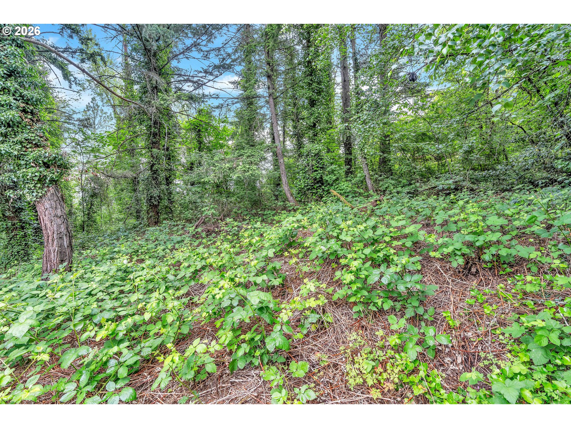 0 SE Tenino CT