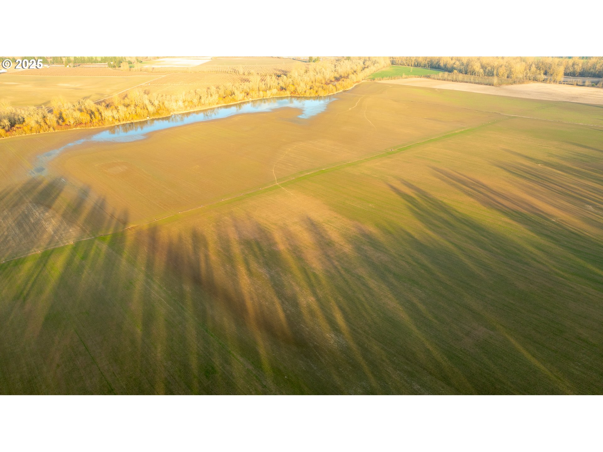 Dayton, Oregon 97114, United States, ,Residential,Active,98327