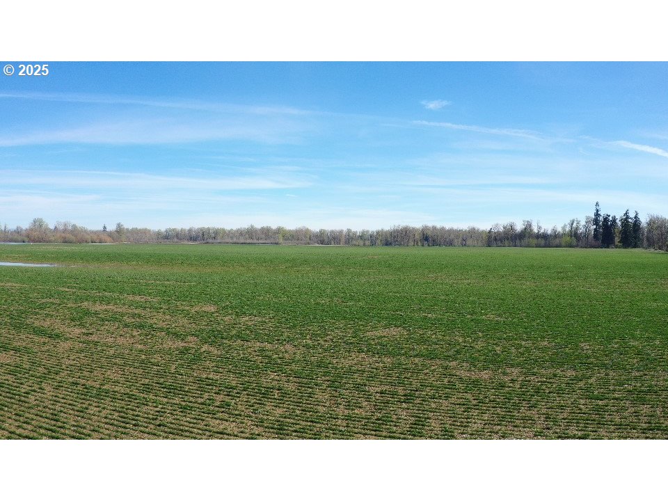 Dayton, Oregon 97114, United States, ,Residential,Active,98327