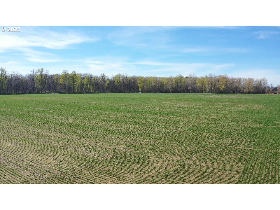 Dayton, Oregon 97114, United States, ,Residential,Active,98327