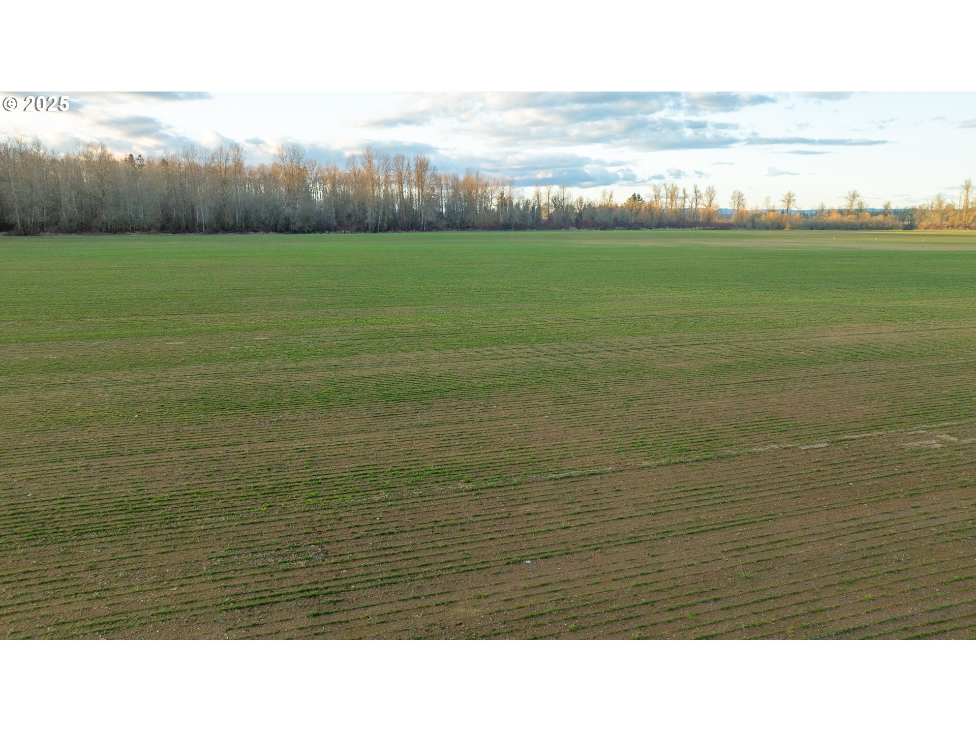 Dayton, Oregon 97114, United States, ,Residential,Active,98327