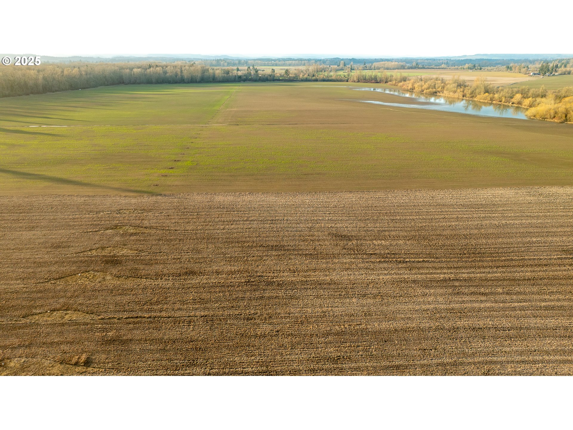 Dayton, Oregon 97114, United States, ,Residential,Active,98327