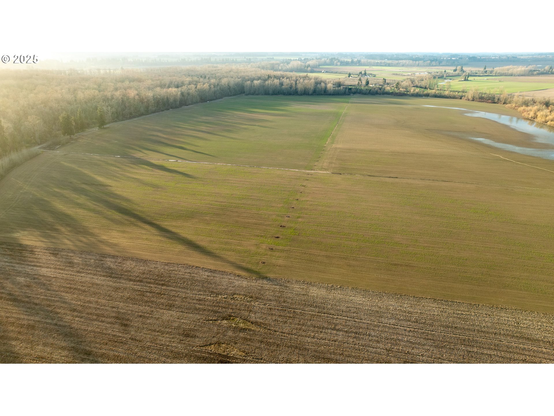 Dayton, Oregon 97114, United States, ,Residential,Active,98327