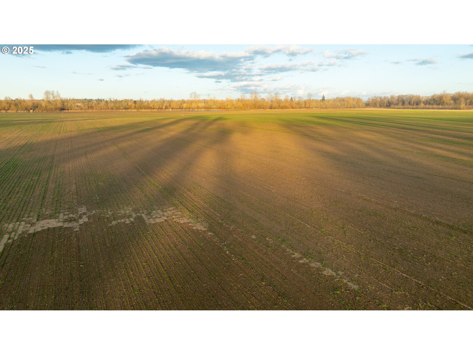 Dayton, Oregon 97114, United States, ,Residential,Active,98327