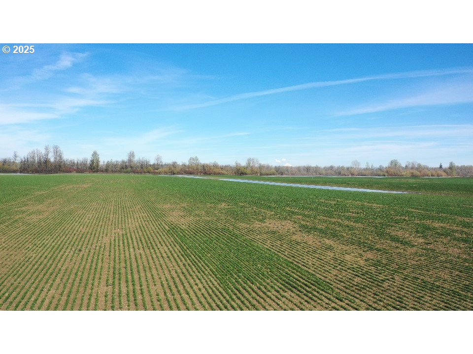 Dayton, Oregon 97114, United States, ,Residential,Active,98327