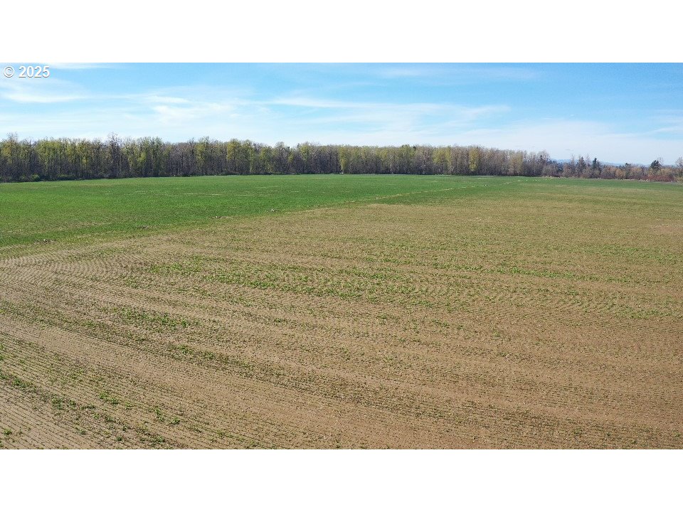 Dayton, Oregon 97114, United States, ,Residential,Active,98327