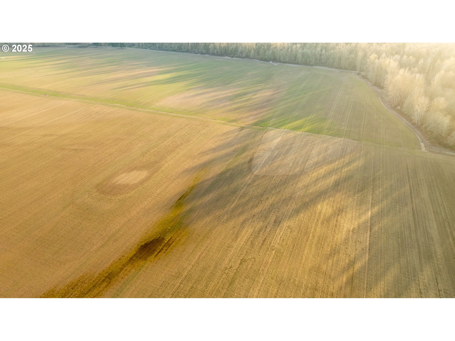 Dayton, Oregon 97114, United States, ,Residential,Active,98327