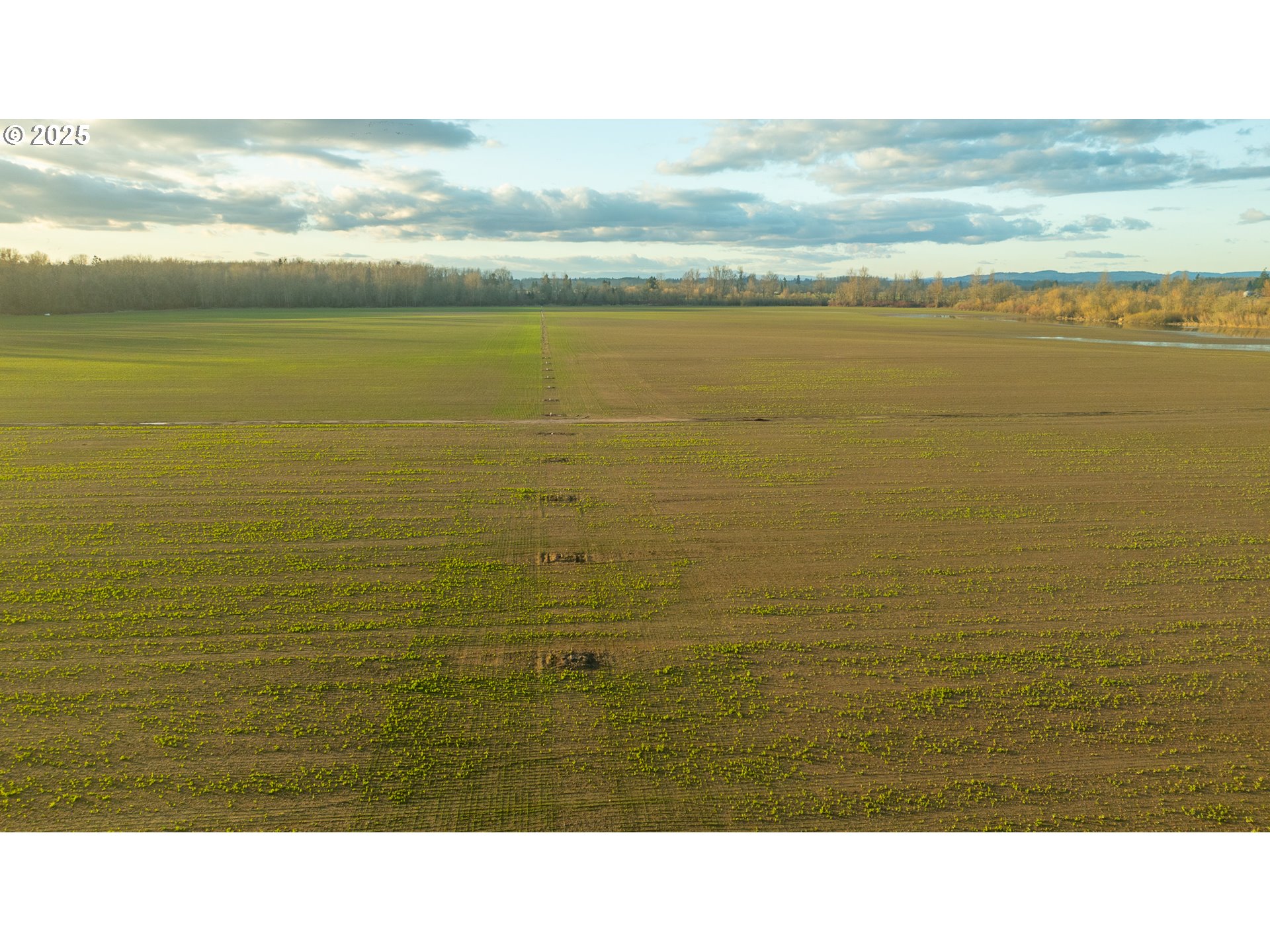 Dayton, Oregon 97114, United States, ,Residential,Active,98327