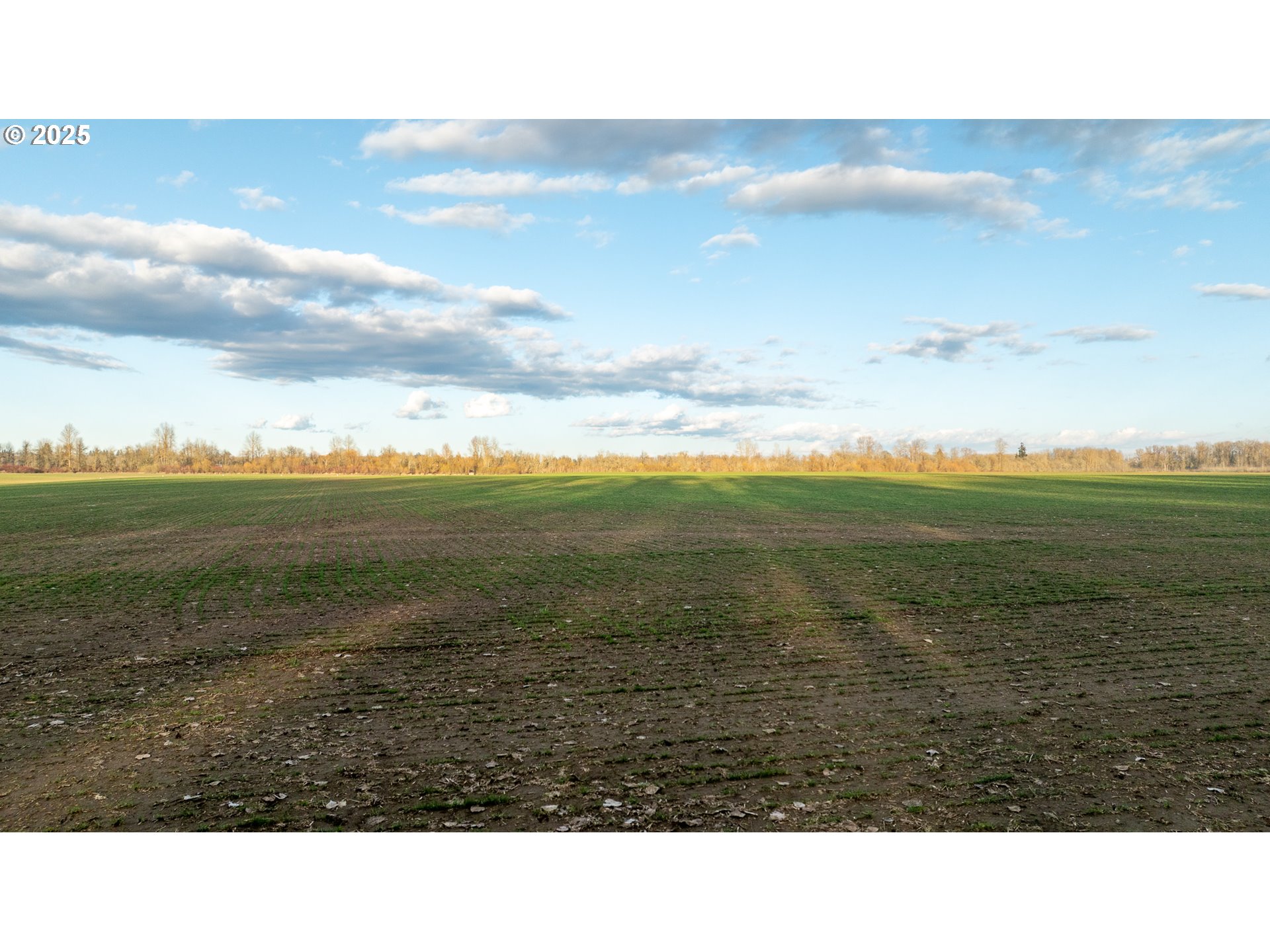 Dayton, Oregon 97114, United States, ,Residential,Active,98327