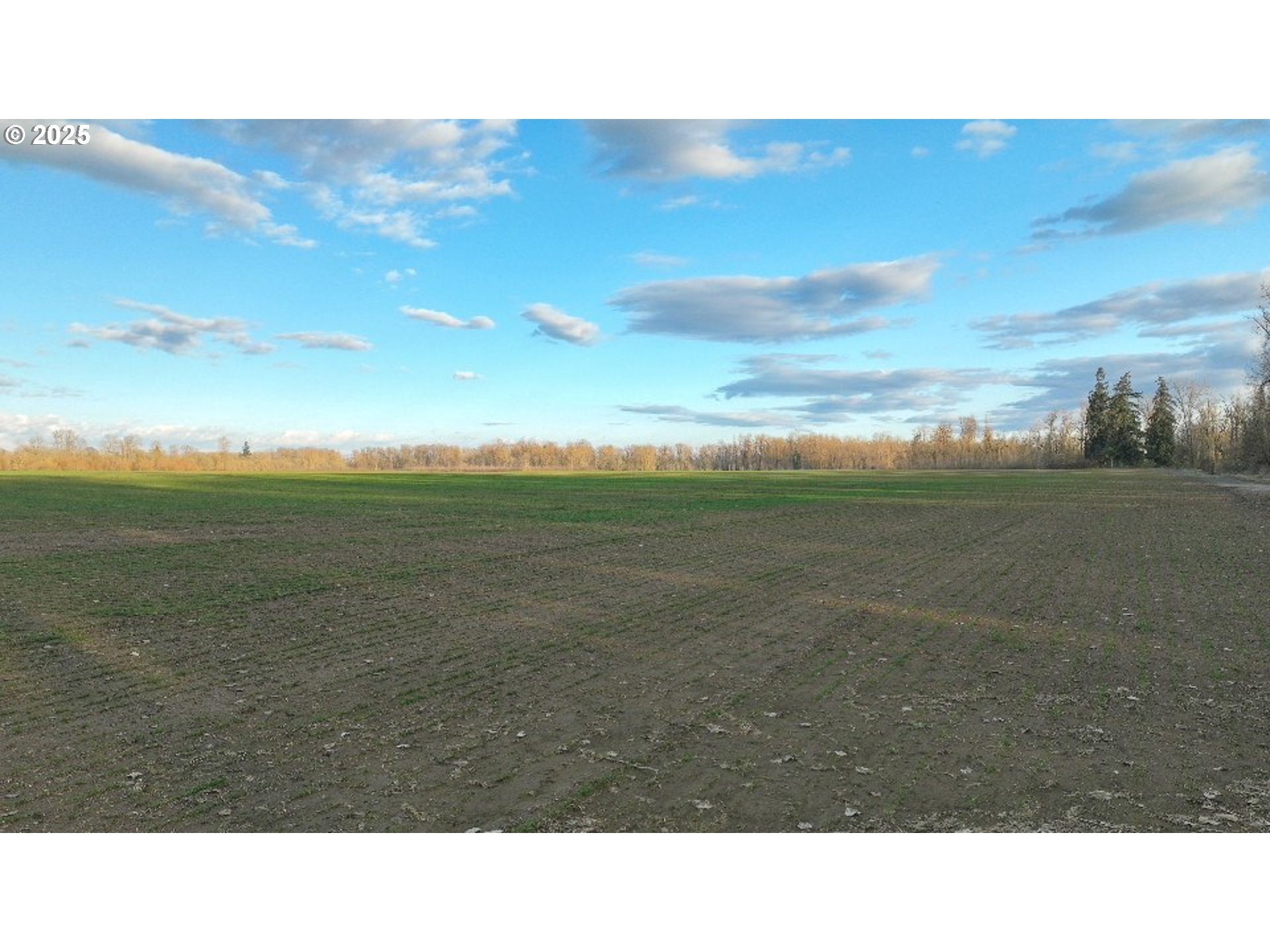 Dayton, Oregon 97114, United States, ,Residential,Active,98327