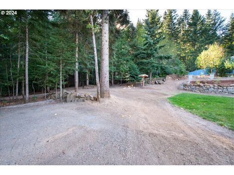 A home in White Salmon