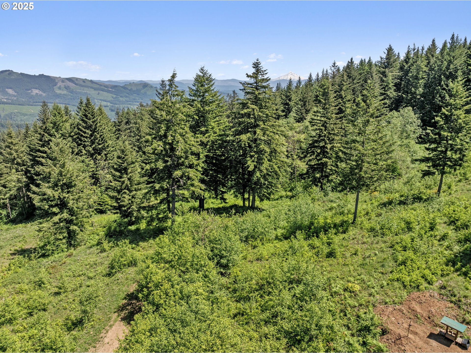 NE 298th CT