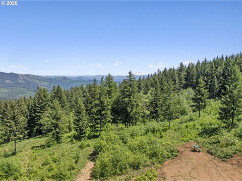 NE 298th CT Camas WA 98607
