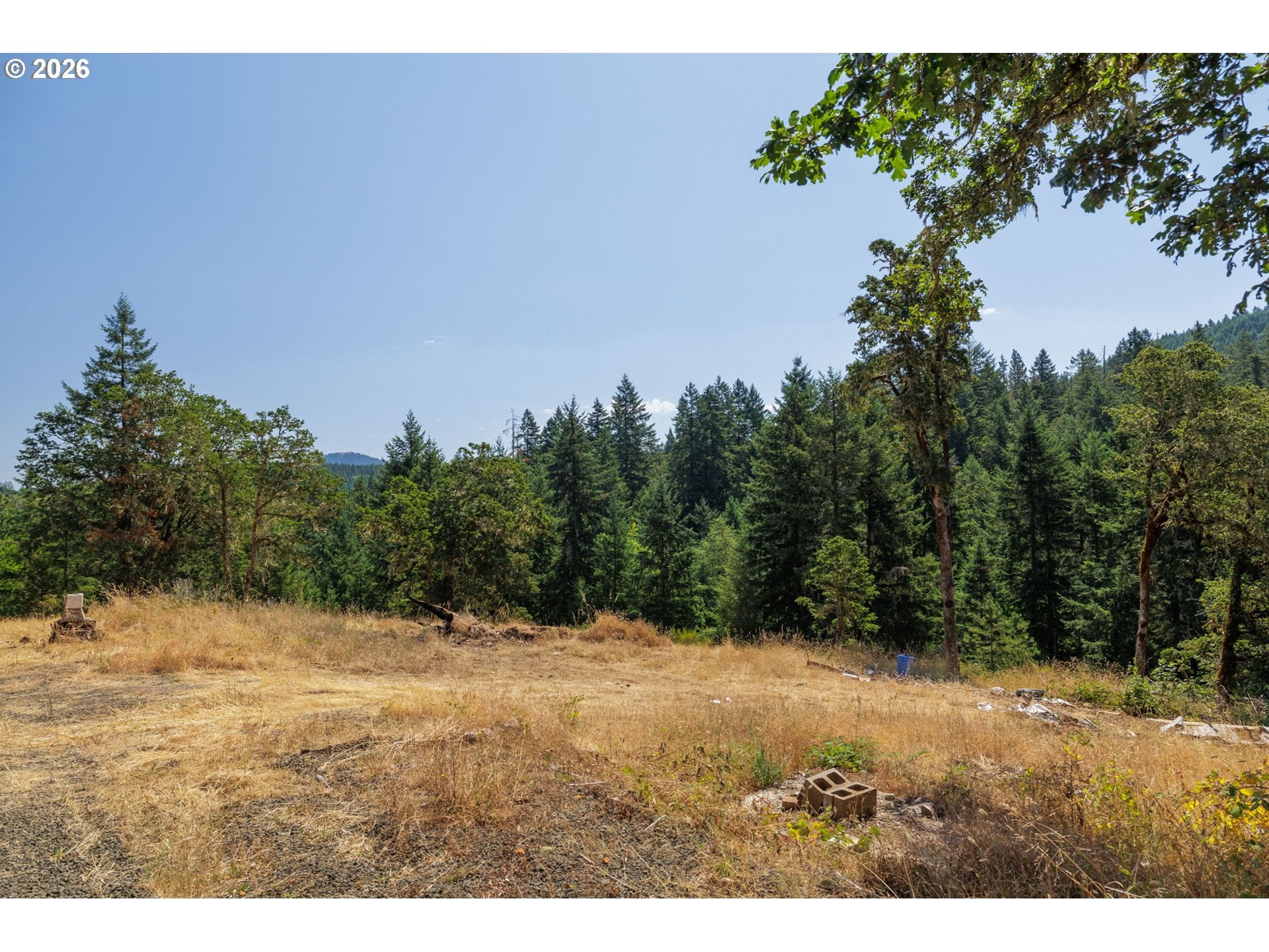 85241 JESSIE LN