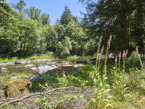 37925 NE VERNON RD Washougal WA 98671