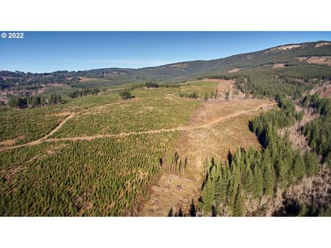 Photo of 4 NE Jones Rd, Camas, WA 98607 (MLS # 24390573)