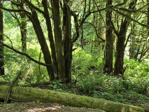 Middle Creek Rd. 700 Myrtle Point OR 97458
