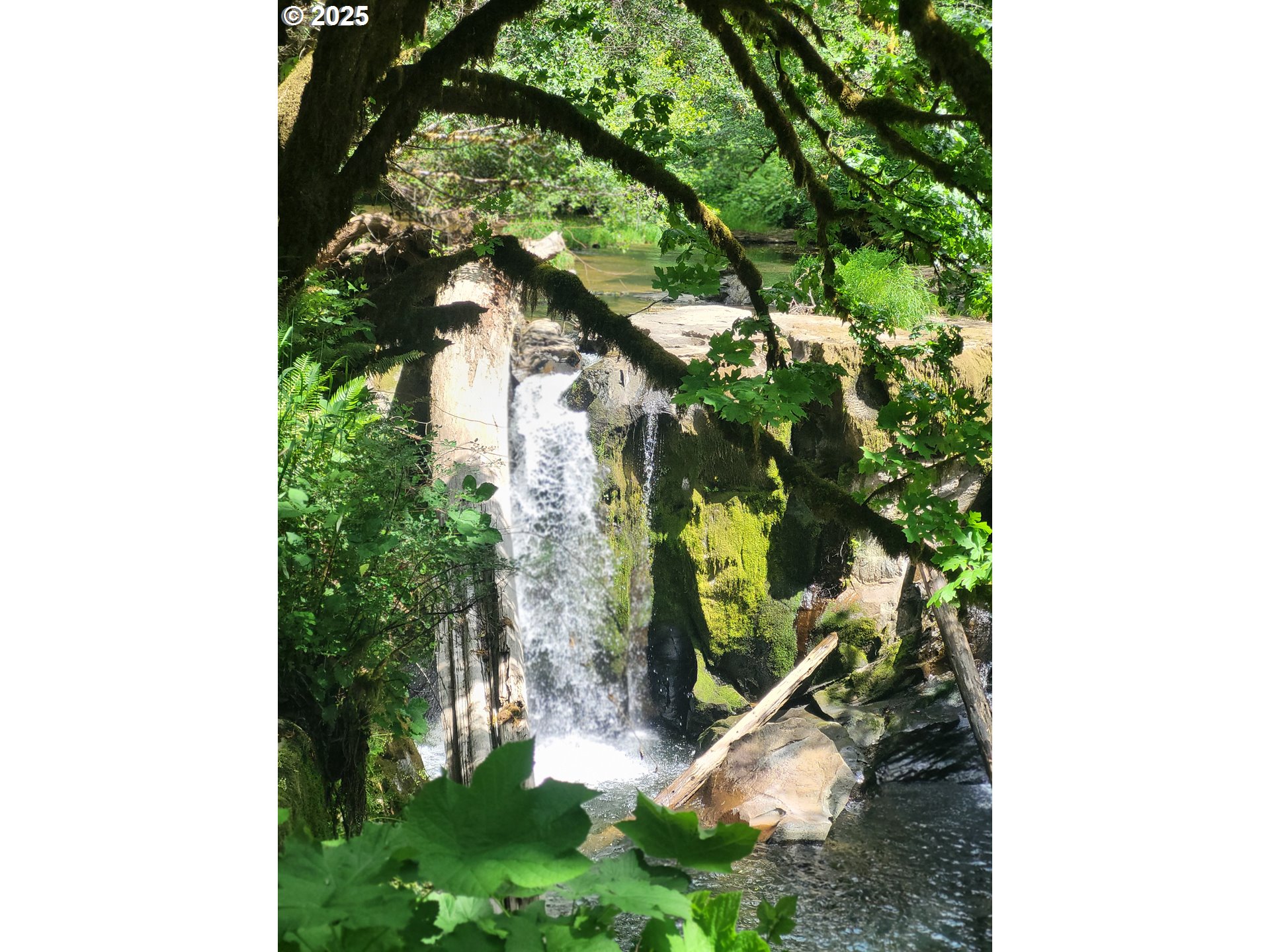 Middle Creek Rd. 700