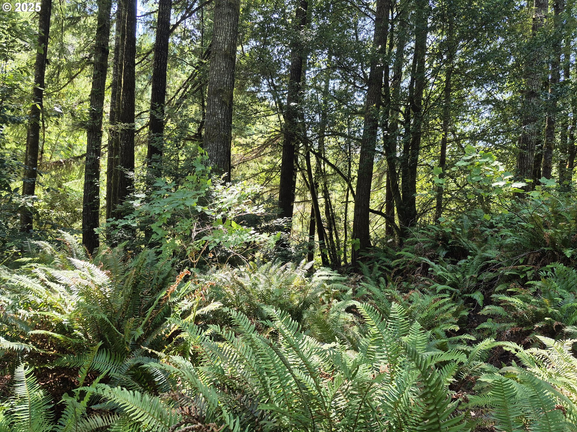 Middle Creek Rd. 700