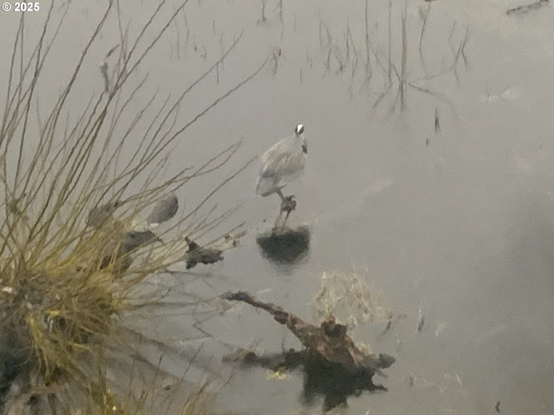 Rockaway Beach, Oregon 97136, United States, 6 Bedrooms Bedrooms, ,6 BathroomsBathrooms,Residential,Active,25928