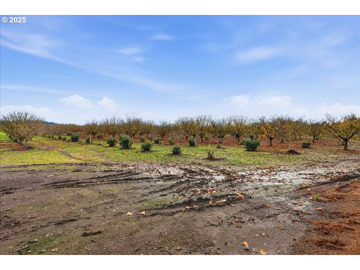 Yamhill, Oregon 97148, United States, ,Land,Active,254270