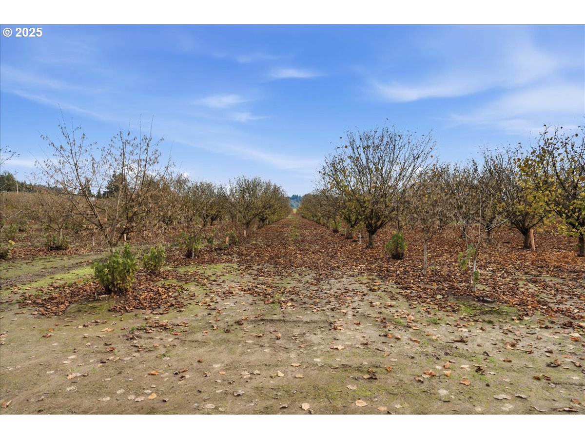 Yamhill, Oregon 97148, United States, ,Land,Active,254270