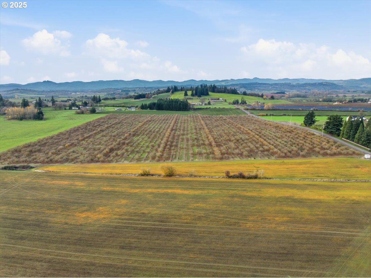 Yamhill, Oregon 97148, United States, ,Land,Active,254270