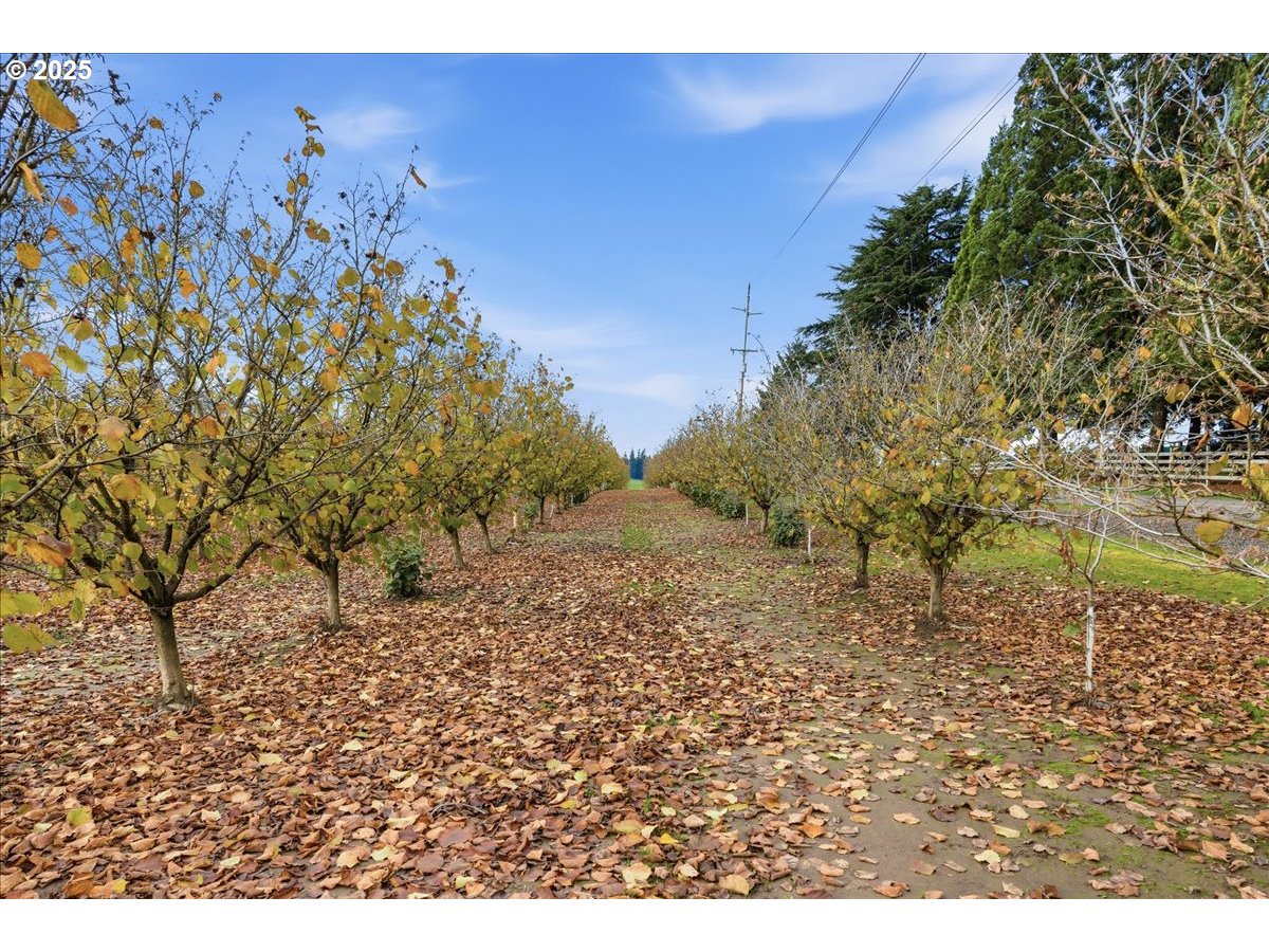 Yamhill, Oregon 97148, United States, ,Land,Active,254270