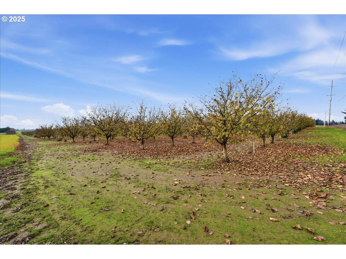 Yamhill, Oregon 97148, United States, ,Land,Active,254270