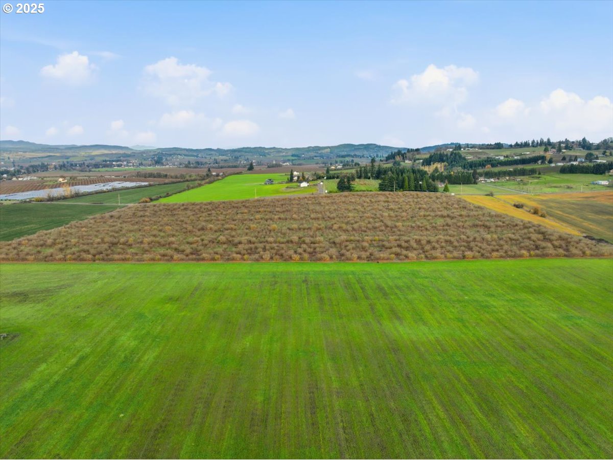 Yamhill, Oregon 97148, United States, ,Land,Active,254270 Yamhill, Oregon 97148, United States, ,Land,Active,254270