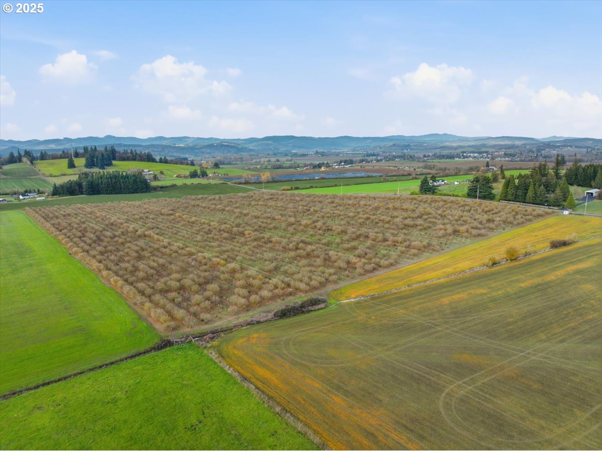 Yamhill, Oregon 97148, United States, ,Land,Active,254270