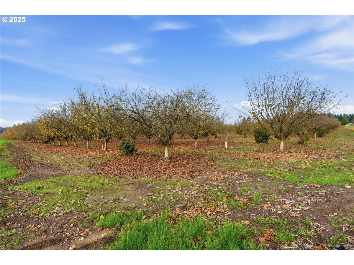 Yamhill, Oregon 97148, United States, ,Land,Active,254270