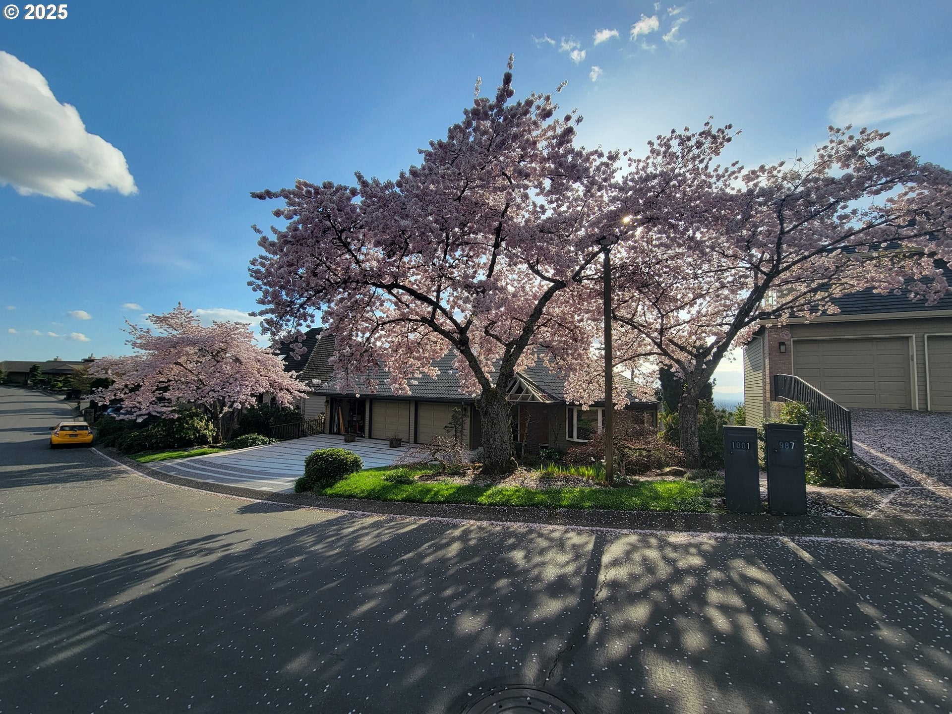 1001 SW SUMMIT VIEW DR