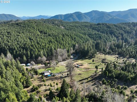 Photo of 77220 Bar B L Ranch Rd, Westfir, OR 97492 (MLS # 676318664)