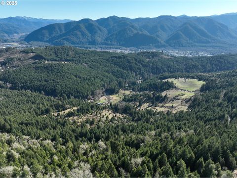 Tiny photo for 77220 Bar B L Ranch Rd, Westfir, OR 97492 (MLS # 676318664)