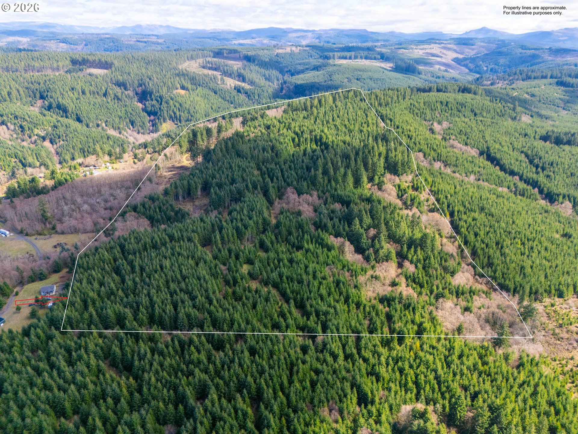 SE Phelps Mountain LN TL1200