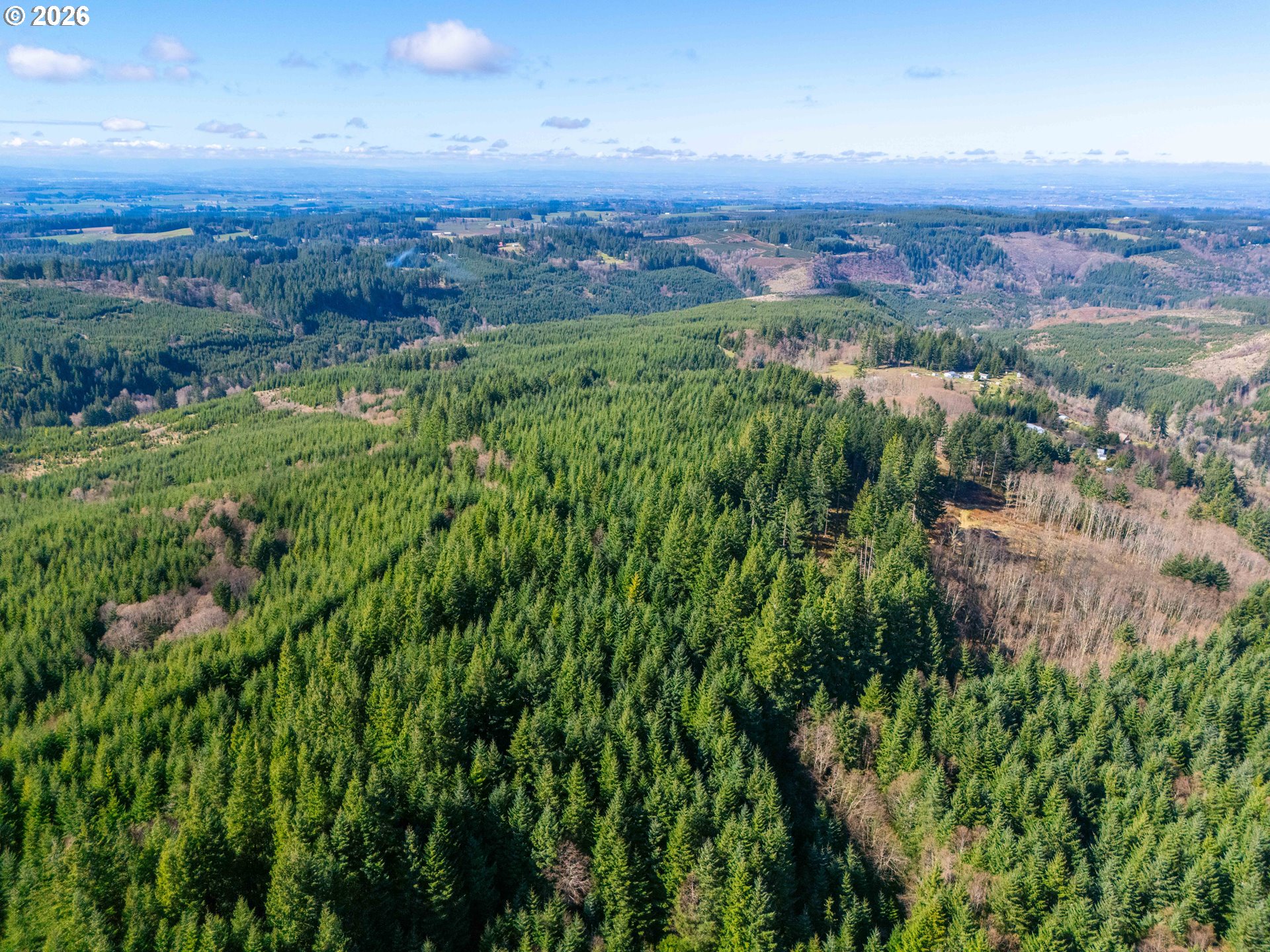 SE Phelps Mountain LN TL1200